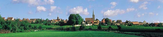 Dans la plaine d'alsace, tous les 2 km, un village a decouvrir !